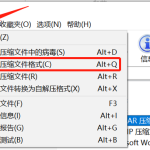 WinRAR支持哪些文件格式？